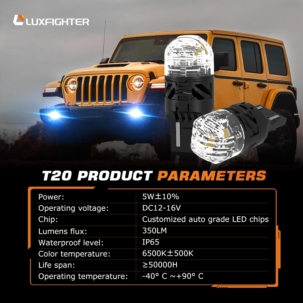 T20
