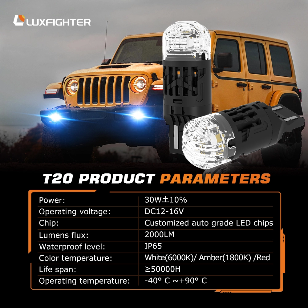 T20